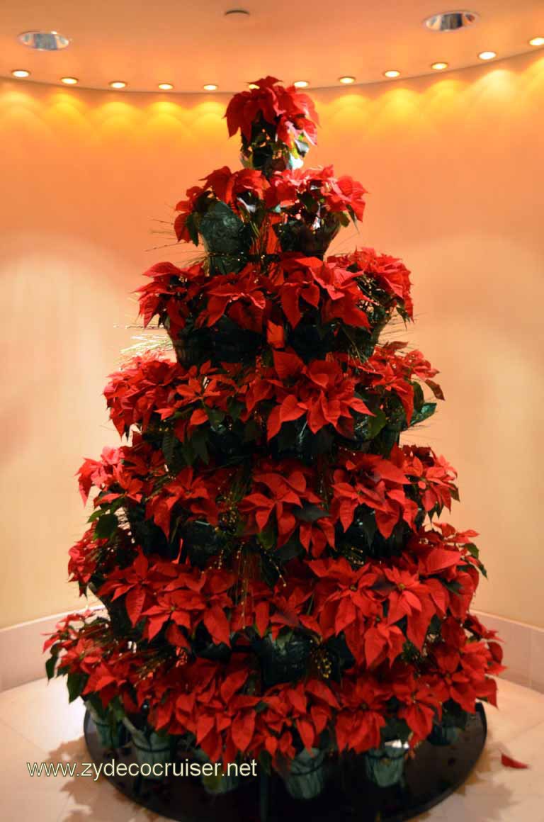 201: Christmas, 2010, New Orleans, LA, Ritz-Carlton, a poinsettia tree!