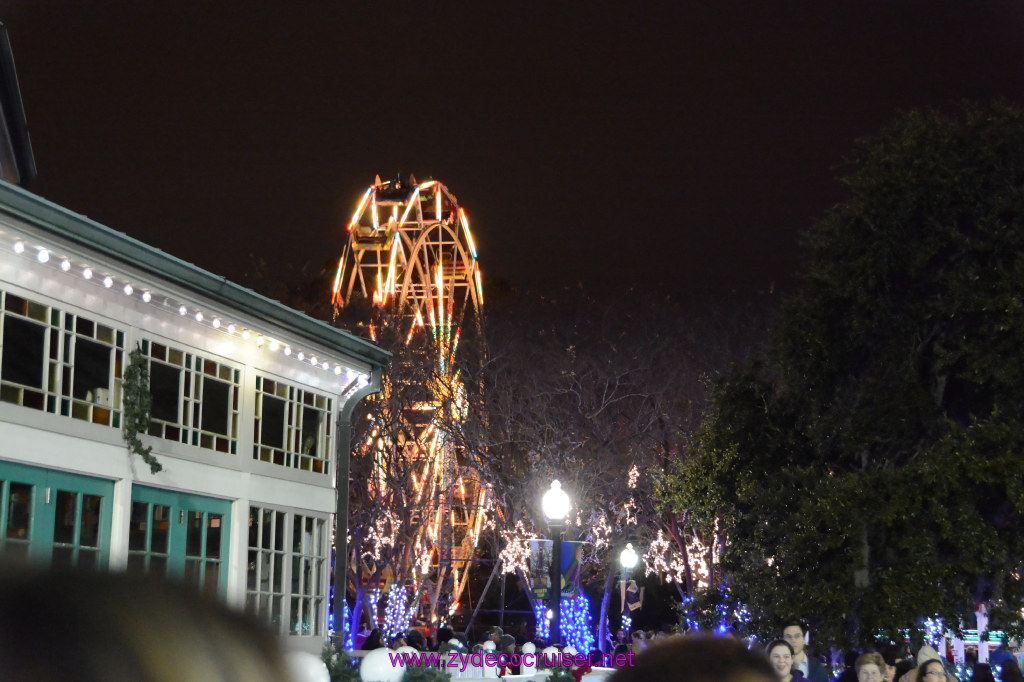 029: Celebration in the Oaks, New Orleans, Dec 2013