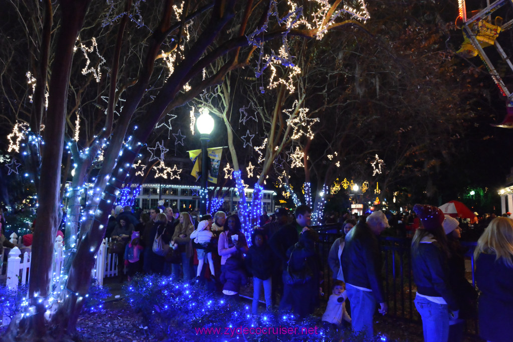 041: Celebration in the Oaks, New Orleans, Dec 2013