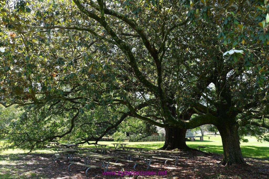 039: Magnolia Mound Plantation, Baton Rouge, LA