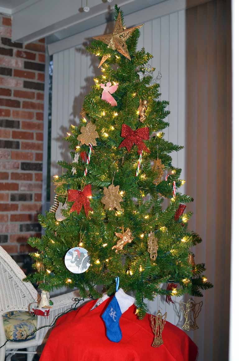 190: Baton Rouge, LA, November, 2010, St James Place, Christmas tree