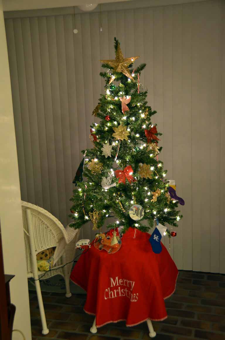 211: Baton Rouge, LA, November, 2010, St James Place, Christmas Tree