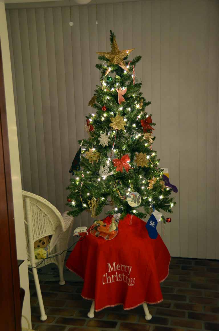 214: Baton Rouge, LA, November, 2010, St James Place, Christmas Tree