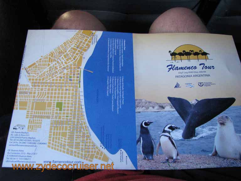 007: Carnival Splendor, Puerto Madryn, Penguins Paradise, Punta Tombo Tour, Flamenco Tour, http://www.flamencotour.com/en/index.html