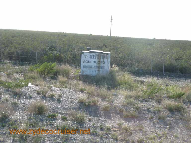 015: Carnival Splendor, Puerto Madryn, Penguins Paradise, Punta Tombo Tour - 