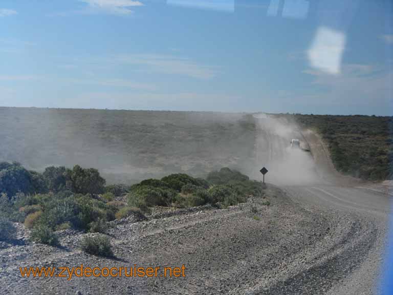 042: Carnival Splendor, Puerto Madryn, Penguins Paradise, Punta Tombo Tour - 