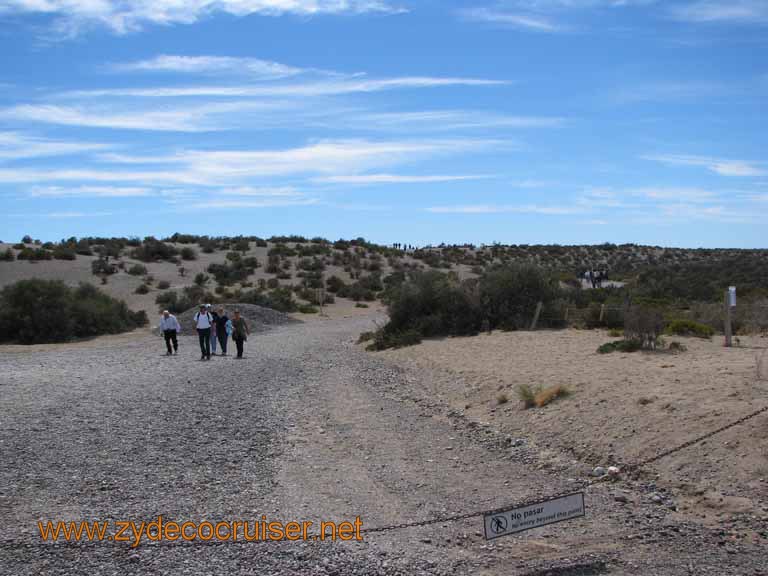 054: Carnival Splendor, Puerto Madryn, Penguins Paradise, Punta Tombo Tour - 