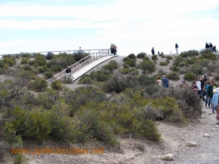 060: Carnival Splendor, Puerto Madryn, Penguins Paradise, Punta Tombo Tour - 