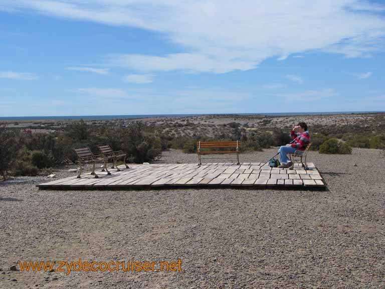 066: Carnival Splendor, Puerto Madryn, Penguins Paradise, Punta Tombo Tour - 