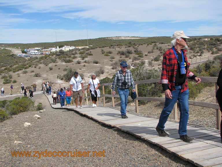 067: Carnival Splendor, Puerto Madryn, Penguins Paradise, Punta Tombo Tour - 