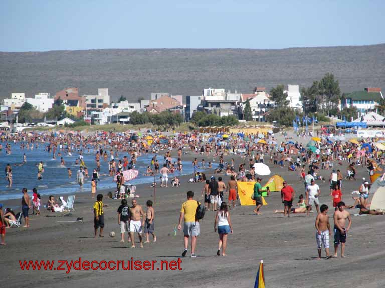 261: Carnival Splendor, Puerto Madryn, Penguins Paradise, Punta Tombo Tour - 