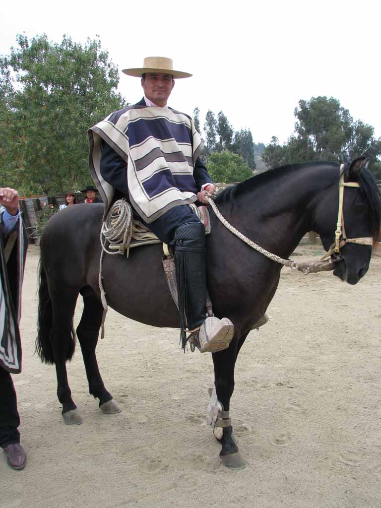 134: Carnival Splendor, 2009, Valparaiso-Santiago transfer, Wine, Horses, and Santiago tour, 