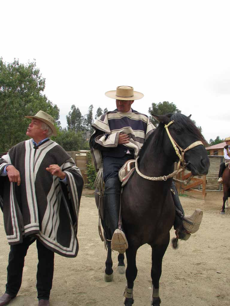 151: Carnival Splendor, 2009, Valparaiso-Santiago transfer, Wine, Horses, and Santiago tour, 