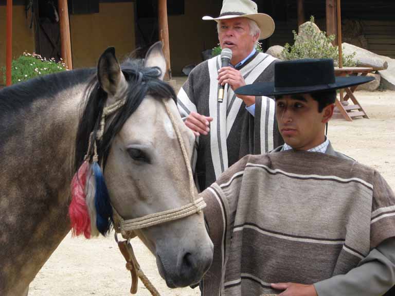 184: Carnival Splendor, 2009, Valparaiso-Santiago transfer, Wine, Horses, and Santiago tour, 