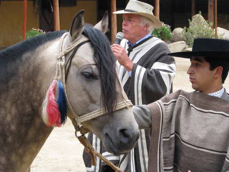 185: Carnival Splendor, 2009, Valparaiso-Santiago transfer, Wine, Horses, and Santiago tour, 