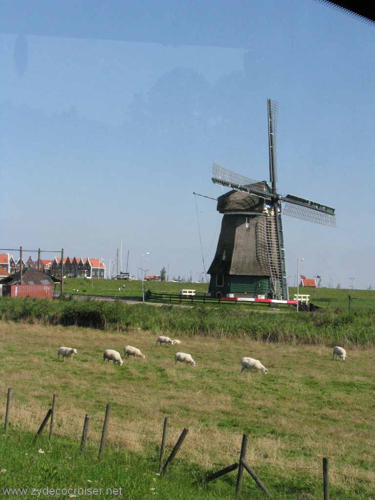 249: Carnival Splendor, Amsterdam, Marken and Voledam Excursion Windmill